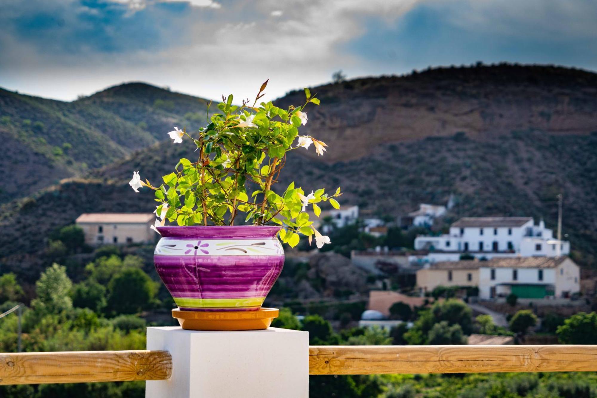 Rambla Retreats Apartment Rojo With Shared Pool & Hot Tub Stunning Views In Oria Eksteriør bilde